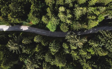 Straße durch den Wald aus Vogelperspektive